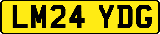 LM24YDG