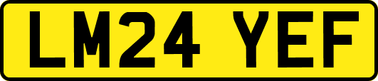 LM24YEF