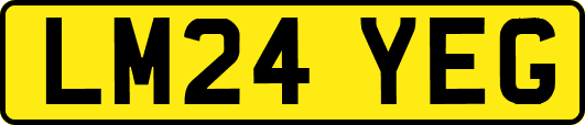 LM24YEG