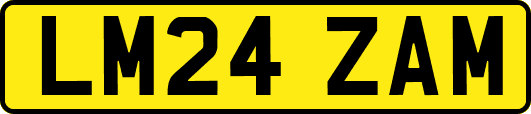 LM24ZAM
