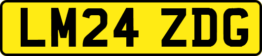 LM24ZDG