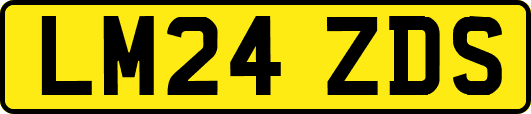 LM24ZDS
