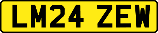 LM24ZEW
