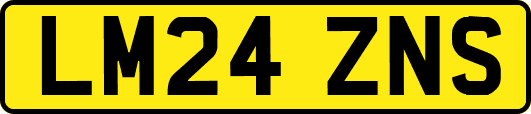 LM24ZNS