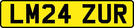 LM24ZUR