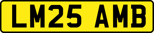 LM25AMB