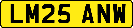 LM25ANW
