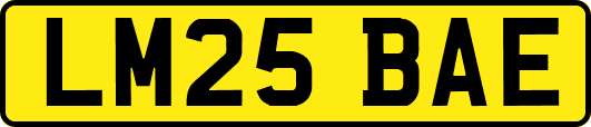 LM25BAE