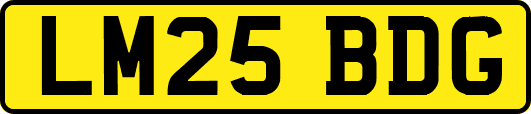 LM25BDG