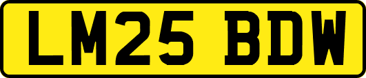 LM25BDW