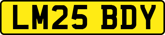 LM25BDY