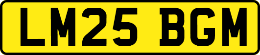 LM25BGM