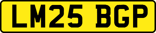 LM25BGP