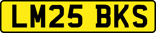 LM25BKS