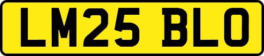 LM25BLO