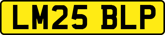LM25BLP
