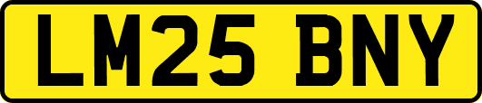 LM25BNY