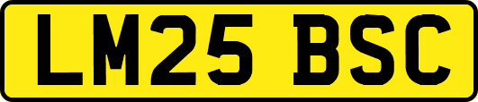 LM25BSC