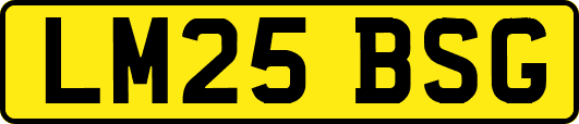 LM25BSG