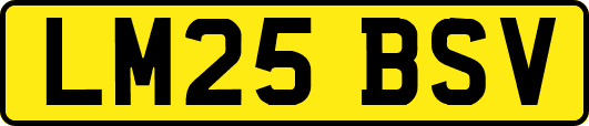 LM25BSV