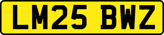 LM25BWZ