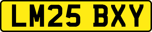 LM25BXY