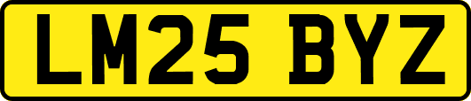LM25BYZ
