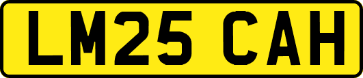 LM25CAH