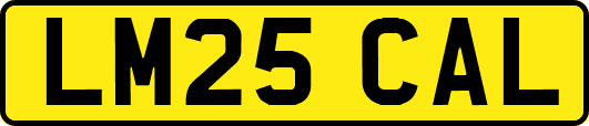 LM25CAL