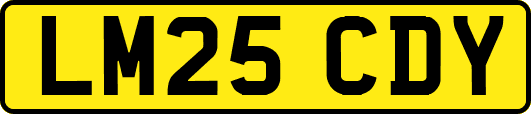LM25CDY