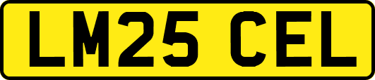 LM25CEL