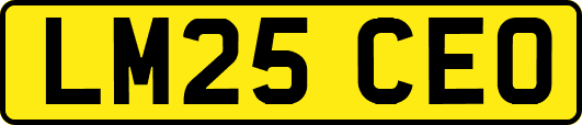 LM25CEO