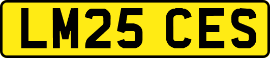 LM25CES