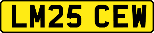 LM25CEW