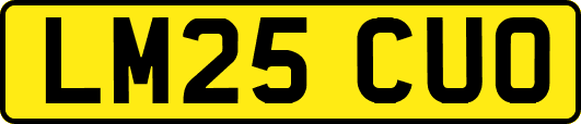 LM25CUO