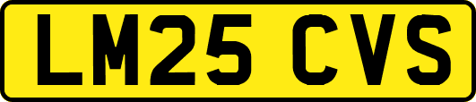 LM25CVS