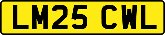 LM25CWL