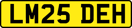 LM25DEH