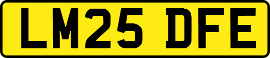 LM25DFE