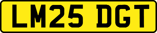 LM25DGT