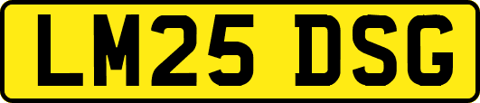 LM25DSG