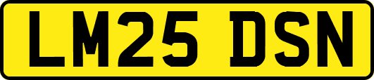 LM25DSN