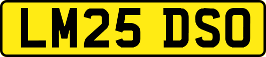 LM25DSO