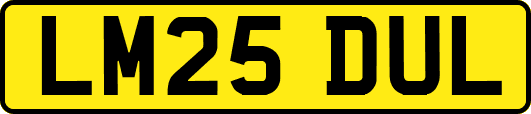 LM25DUL