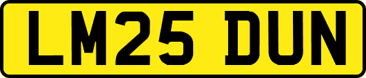 LM25DUN