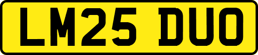 LM25DUO