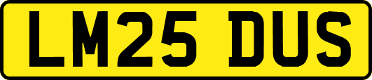 LM25DUS