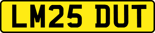 LM25DUT