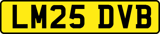 LM25DVB