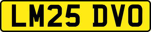 LM25DVO